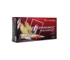Hornady Ammunition 204 Ruger 30 Grain NTX Polymer Tip 20 Count