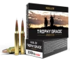Nosler Trophy Grade Rifle Ammunition 300 WSM 180 gr  AB SP 20 rd 