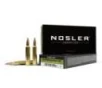 Nosler Expansion Tip Rifle Ammunition 300 RUM 180 gr  ET SP 20 rd 