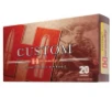 Custom FTX Ballistic Tip 250 gr 450 Bushmaster Rifle Ammo - 20 Round Box
