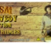 HSM 44R1N Cowboy Action  44 Russian 200 gr Round Nose Flat Point  RNFP  20 Bx  10 Cs
