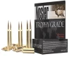 Nosler 60120 Trophy Grade Long Range 7mm RUM 175 gr AccuBond Long Range 20 Bx  10 Cs